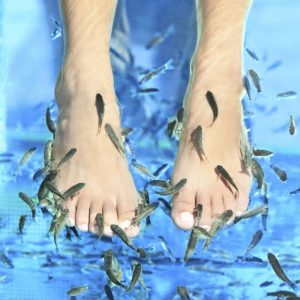 Fish Spa