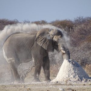 schützender Gesichtspuder